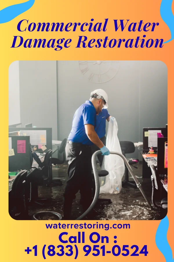 Commercial Water Damage Restoration in Edgerton, MN