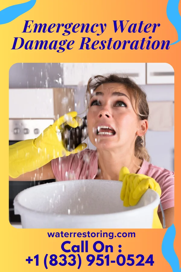 Emergency Water Damage Restoration in Edgerton, MN