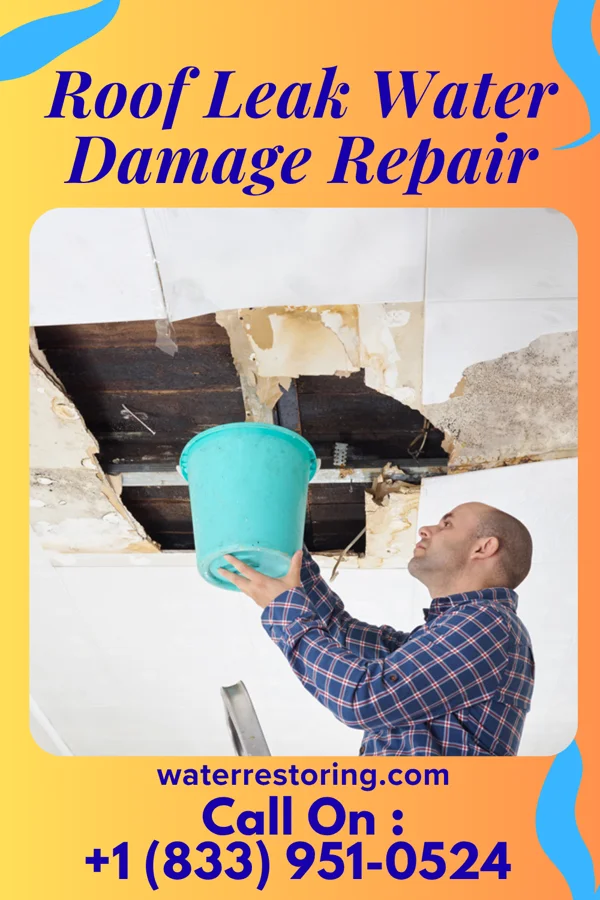 Roof Leak Water Damage Repair in Edgerton, MN