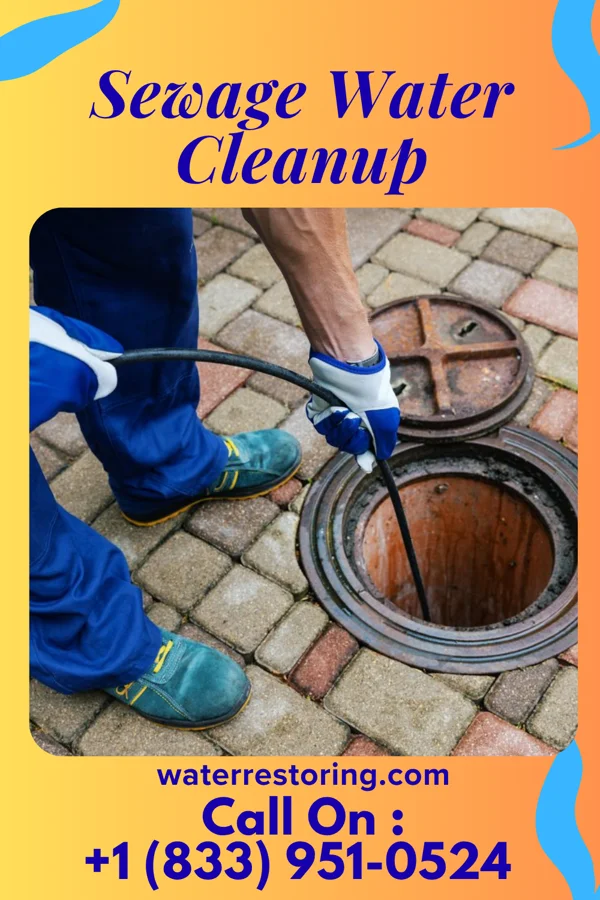 Sewage Water Cleanup in Edgerton, MN